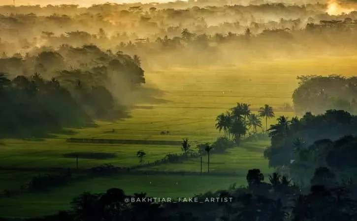 Menelusuri Rahasia Gunung Selok: Destinasi Wisata Alam & Mistis di Cilacap